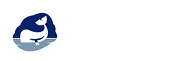 Whale logo
